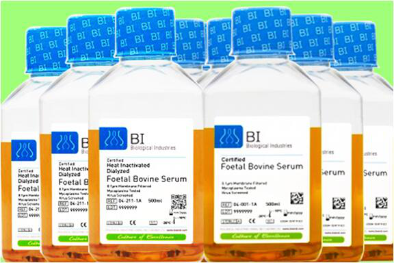 胎牛血清(南美血源)主圖