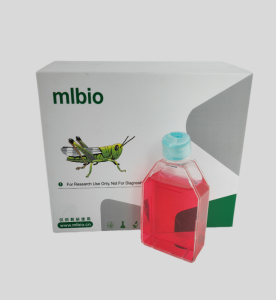 HA1800正常星形膠質(zhì)細胞主圖