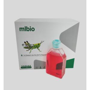 人小腸黏膜上皮細(xì)胞主圖