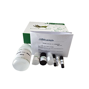 免疫球蛋白IgA測定試劑盒(免疫比濁法)微板法/48樣主圖