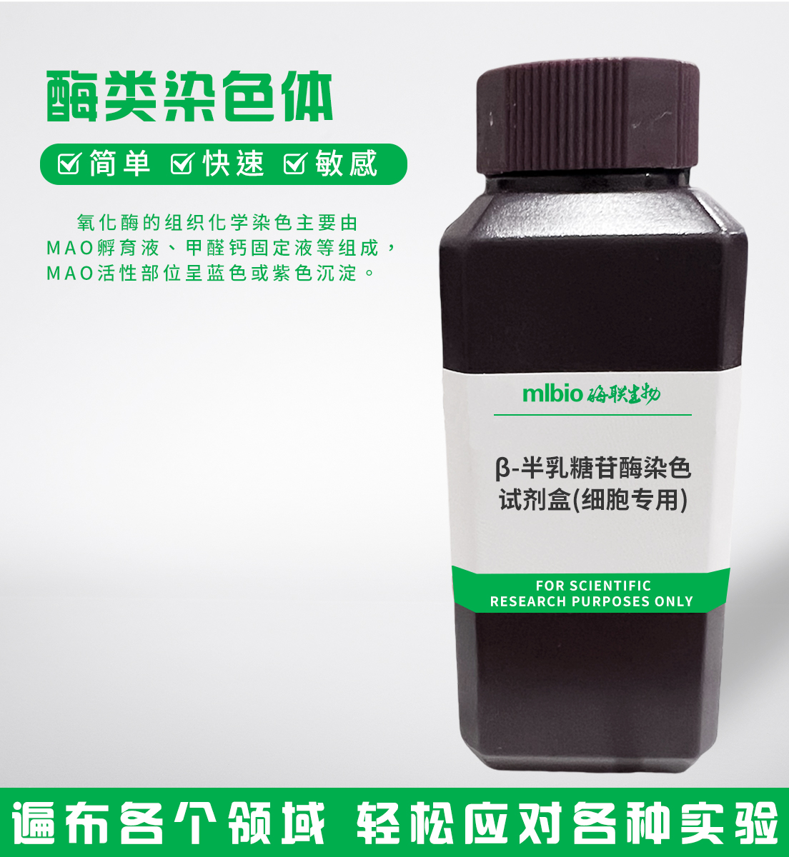 &beta;-半乳糖苷酶染色試劑盒(細(xì)胞專用)主圖