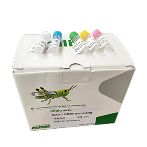 悉尼馬爾太蟲(chóng)探針?lè)╭PCR試劑盒(不含內(nèi)參)主圖