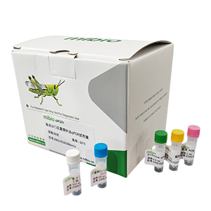 蠟樣芽孢桿菌cesB基因探針法qPCR試劑盒(不含內(nèi)參)主圖