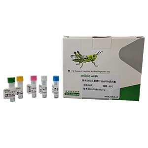 埃柯病毒11型探針法qRT-PCR試劑盒(不含內(nèi)參)主圖