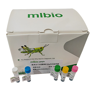 GMO外源nptII基因探針法qPCR試劑盒(不含內參)主圖