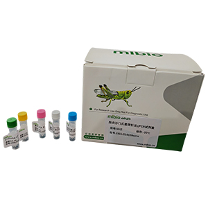 GMO外源aphIV基因探針法qPCR試劑盒(不含內(nèi)參)主圖