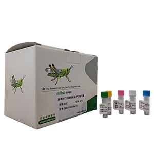 禽腺病毒血清10型探針法qPCR試劑盒(不含內參)主圖