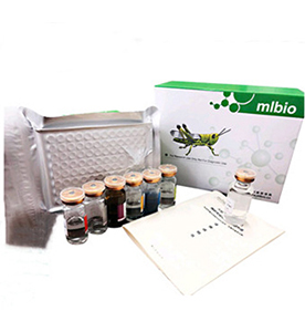 小鼠睪酮(T)試劑盒主圖