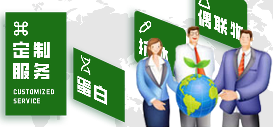 定制服務(wù)，蛋白，抗體，偶聯(lián)物